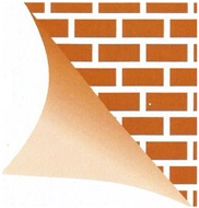 lebensbaum