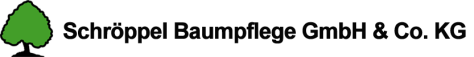schroeppel logo2017